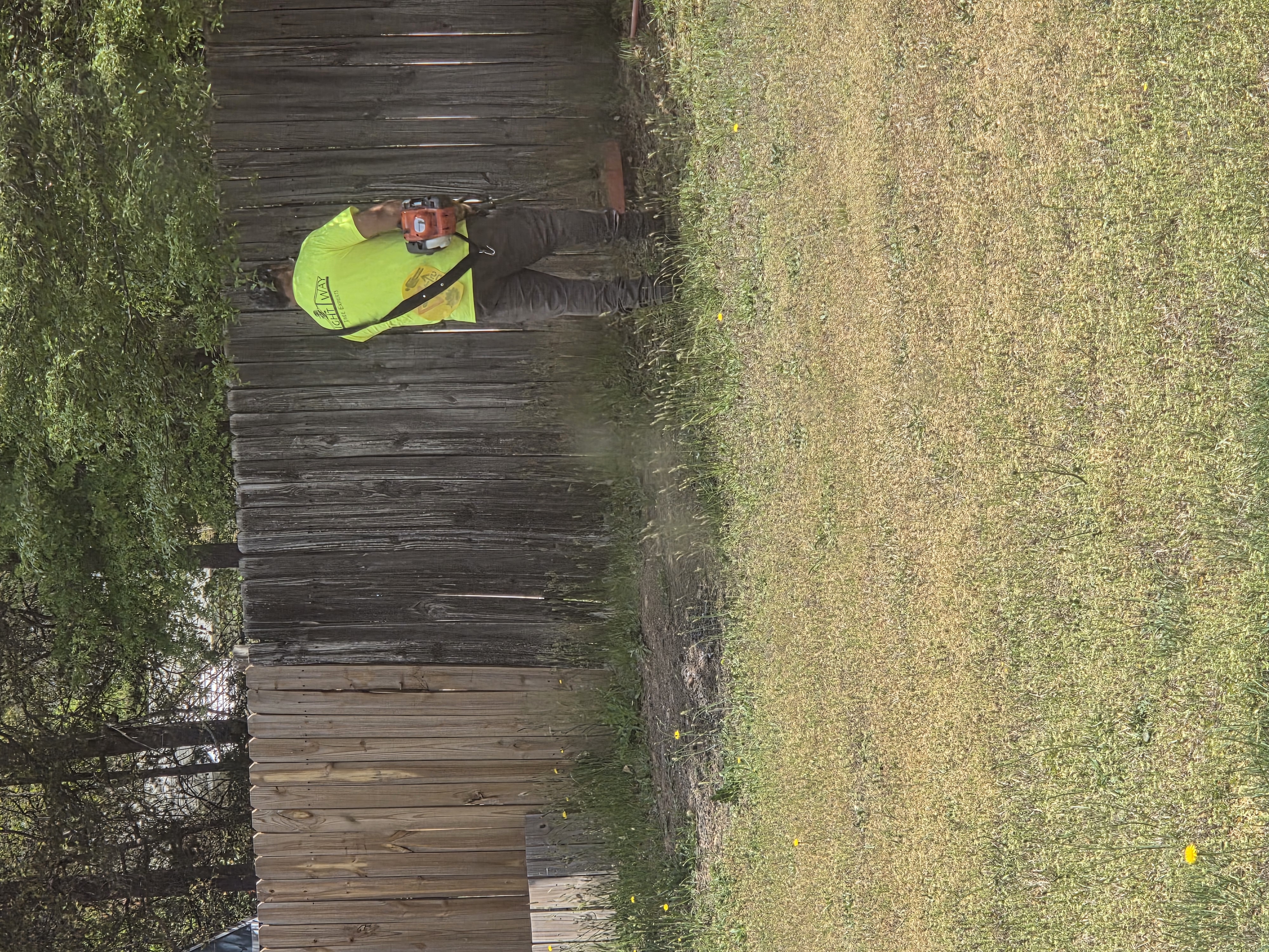 Anthony weed eating a yard